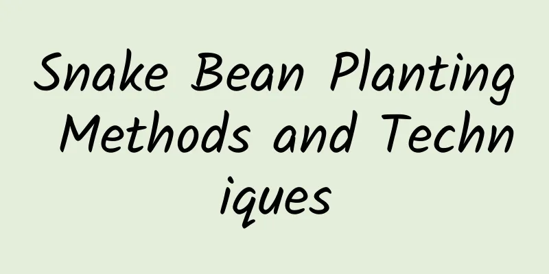 Snake Bean Planting Methods and Techniques