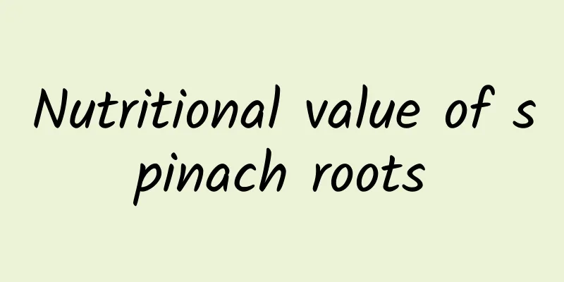 Nutritional value of spinach roots