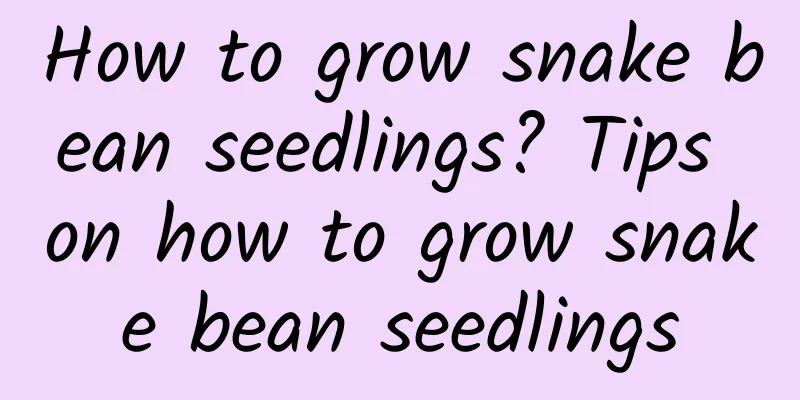 How to grow snake bean seedlings? Tips on how to grow snake bean seedlings