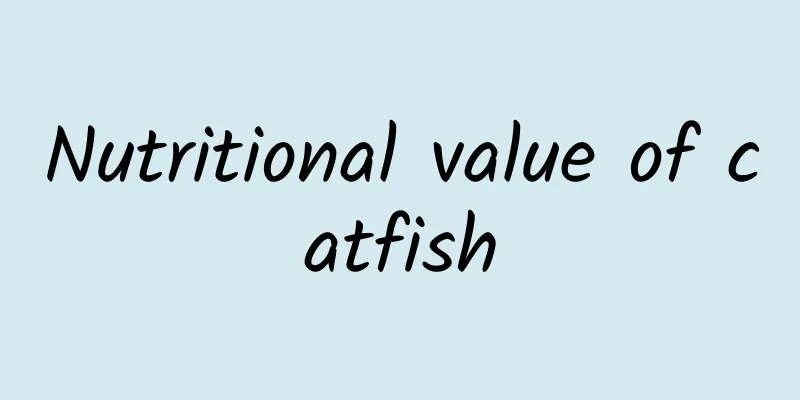 Nutritional value of catfish