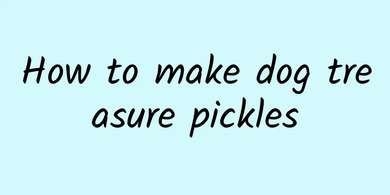 How to make dog treasure pickles