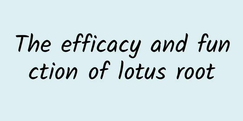 The efficacy and function of lotus root