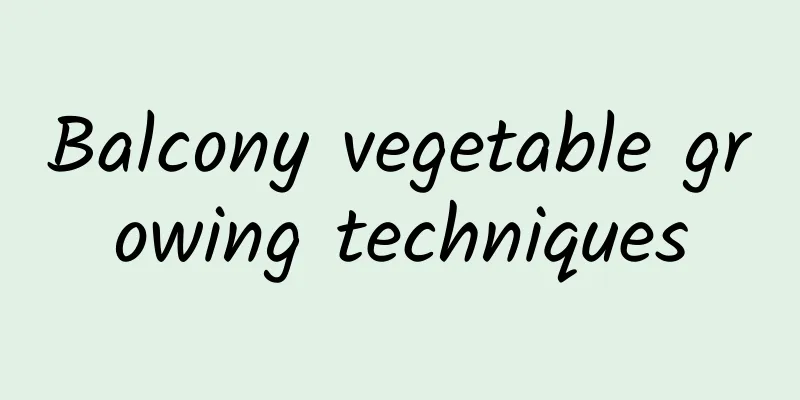 Balcony vegetable growing techniques