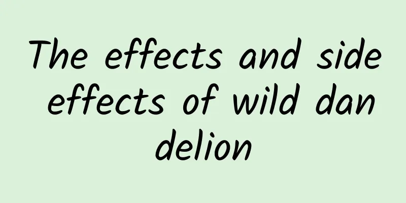 The effects and side effects of wild dandelion