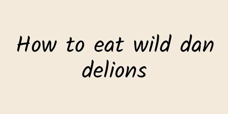 How to eat wild dandelions