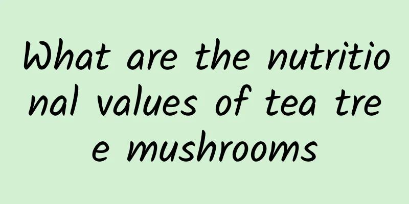 What are the nutritional values ​​of tea tree mushrooms