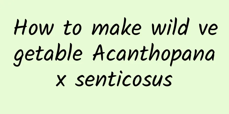 How to make wild vegetable Acanthopanax senticosus