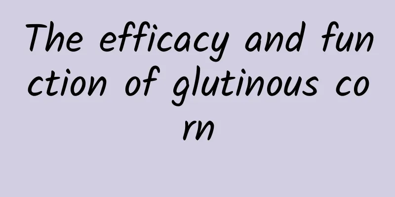 The efficacy and function of glutinous corn