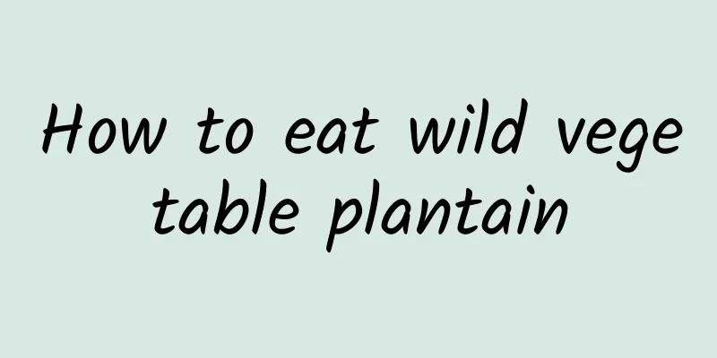 How to eat wild vegetable plantain