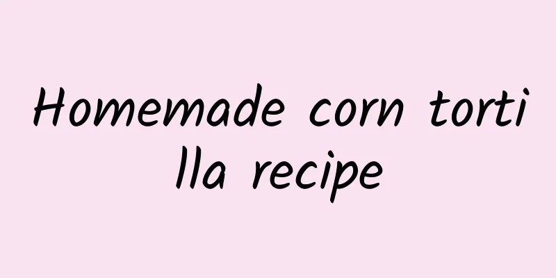 Homemade corn tortilla recipe