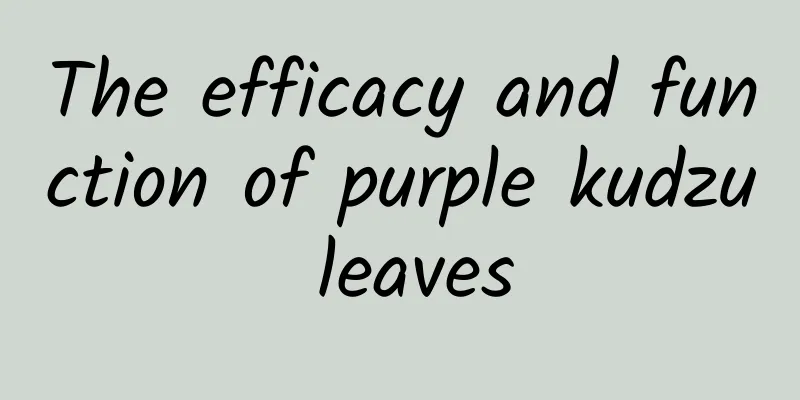 The efficacy and function of purple kudzu leaves