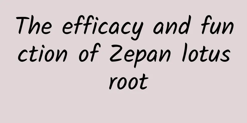 The efficacy and function of Zepan lotus root