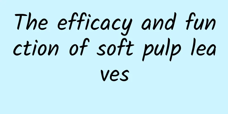 The efficacy and function of soft pulp leaves