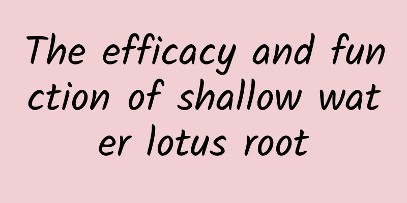 The efficacy and function of shallow water lotus root