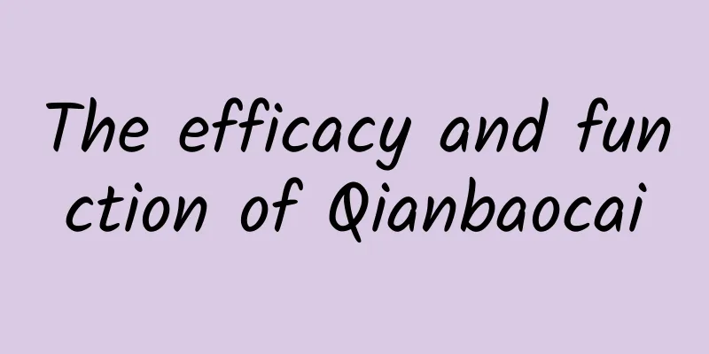 The efficacy and function of Qianbaocai