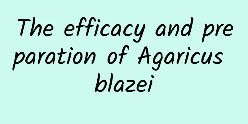 The efficacy and preparation of Agaricus blazei