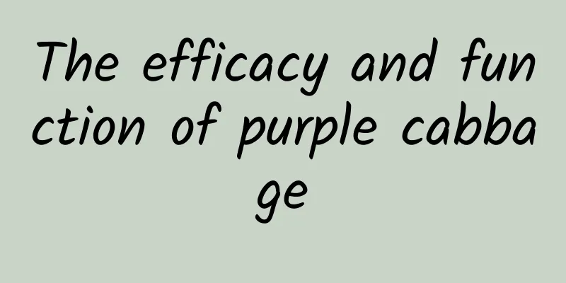 The efficacy and function of purple cabbage