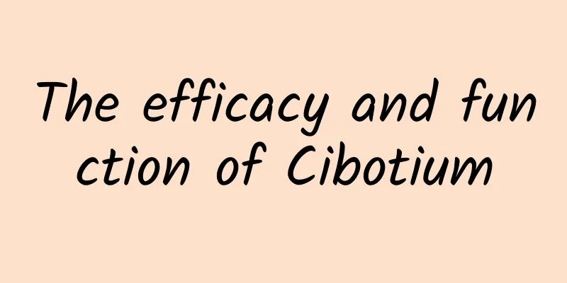 The efficacy and function of Cibotium