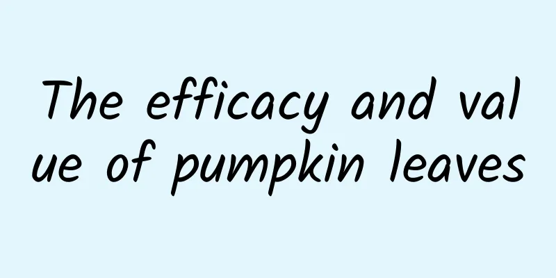 The efficacy and value of pumpkin leaves