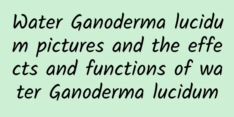 Water Ganoderma lucidum pictures and the effects and functions of water Ganoderma lucidum