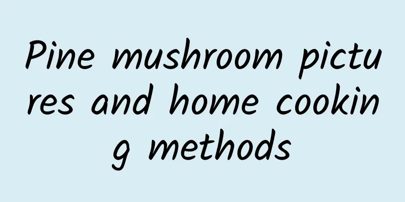 Pine mushroom pictures and home cooking methods