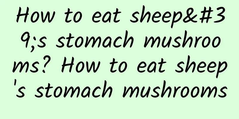 How to eat sheep's stomach mushrooms? How to eat sheep's stomach mushrooms