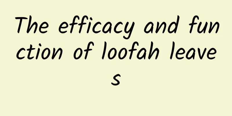 The efficacy and function of loofah leaves