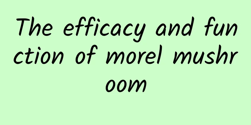 The efficacy and function of morel mushroom