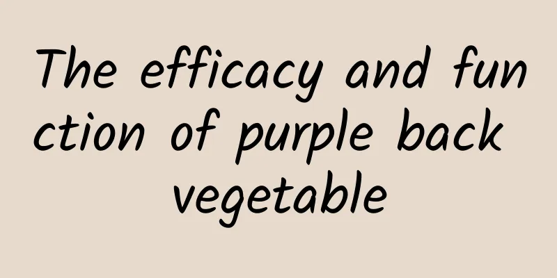 The efficacy and function of purple back vegetable