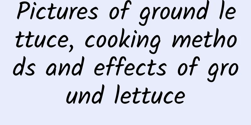 Pictures of ground lettuce, cooking methods and effects of ground lettuce