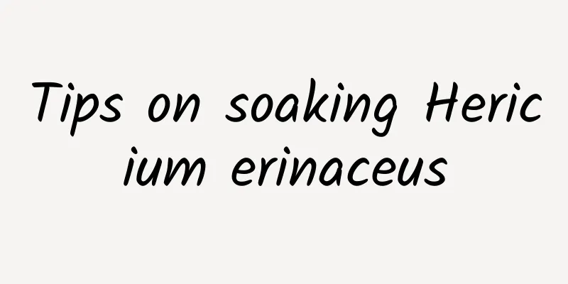 Tips on soaking Hericium erinaceus