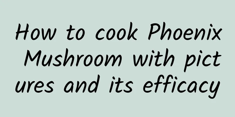 How to cook Phoenix Mushroom with pictures and its efficacy