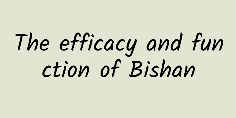 The efficacy and function of Bishan