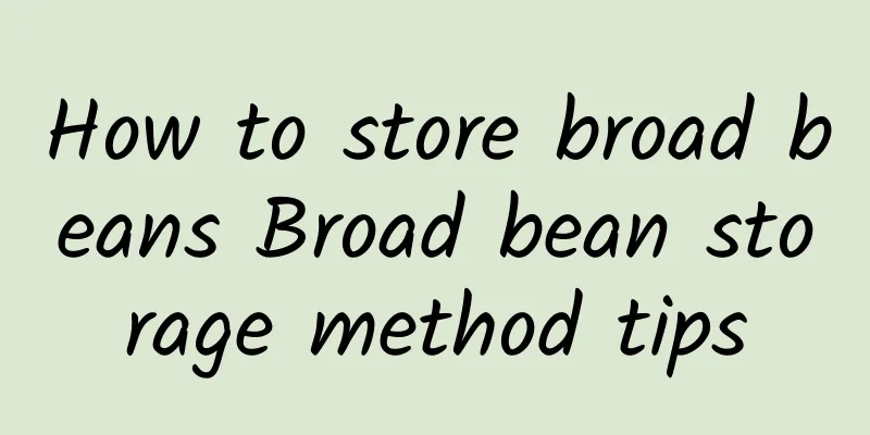 How to store broad beans Broad bean storage method tips