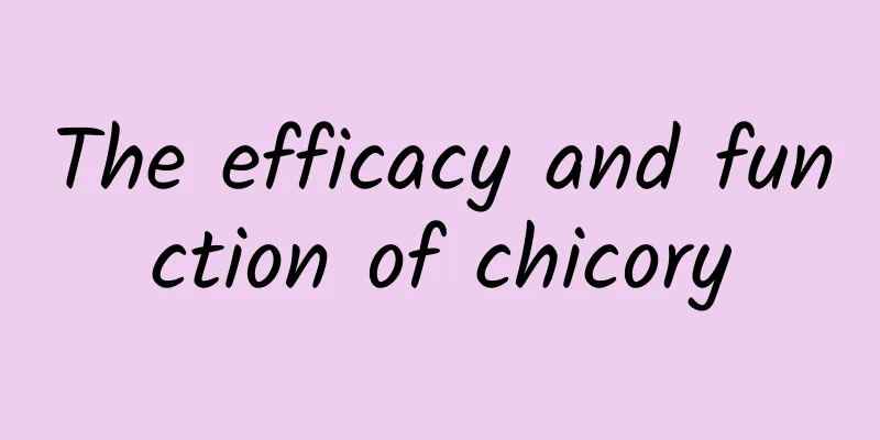 The efficacy and function of chicory