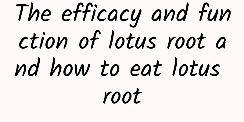 The efficacy and function of lotus root and how to eat lotus root