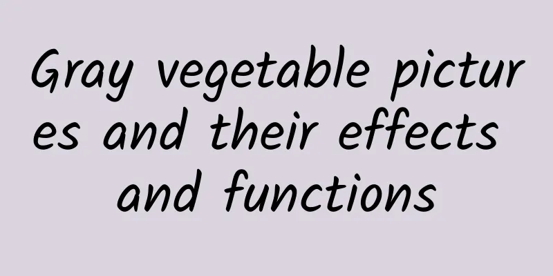 Gray vegetable pictures and their effects and functions