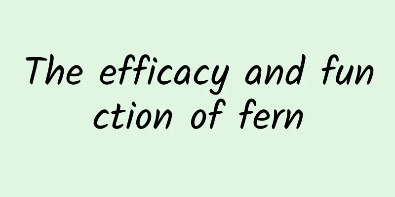 The efficacy and function of fern