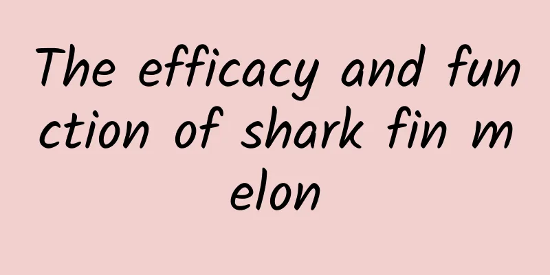 The efficacy and function of shark fin melon