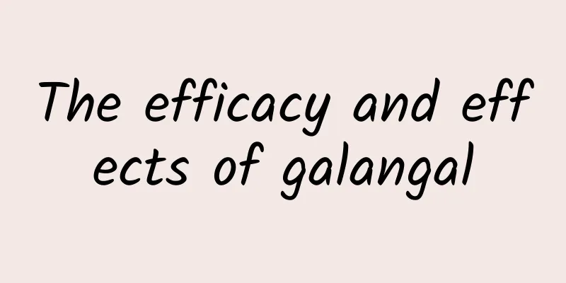 The efficacy and effects of galangal