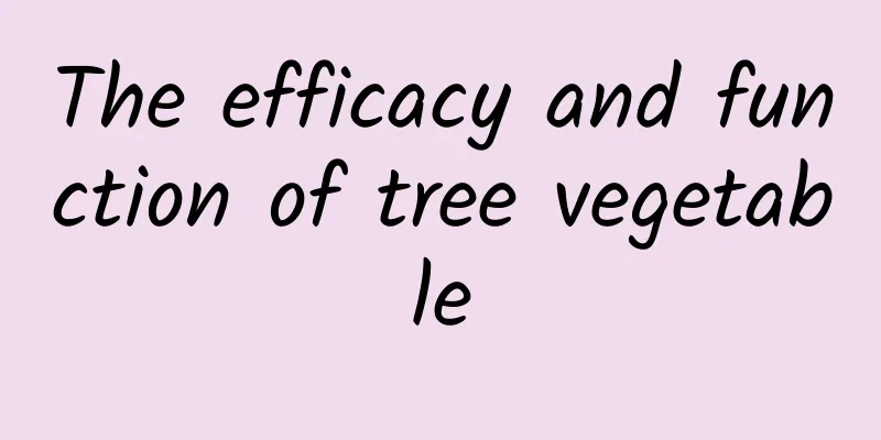 The efficacy and function of tree vegetable