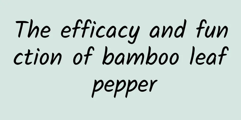 The efficacy and function of bamboo leaf pepper