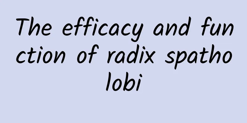 The efficacy and function of radix spatholobi