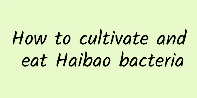 How to cultivate and eat Haibao bacteria