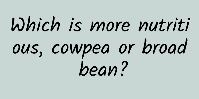 Which is more nutritious, cowpea or broad bean?