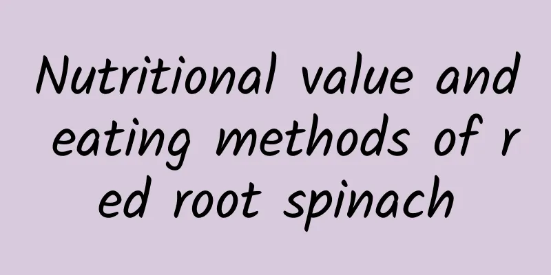 Nutritional value and eating methods of red root spinach