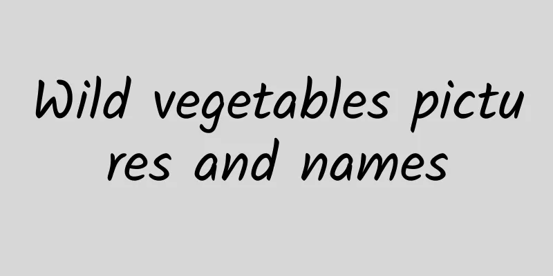 Wild vegetables pictures and names