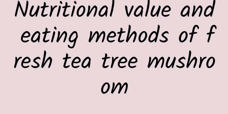 Nutritional value and eating methods of fresh tea tree mushroom