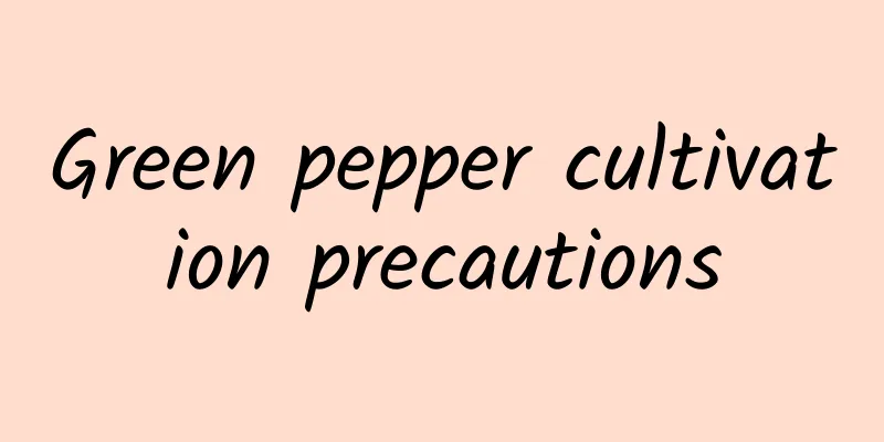 Green pepper cultivation precautions