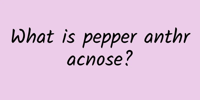 What is pepper anthracnose?